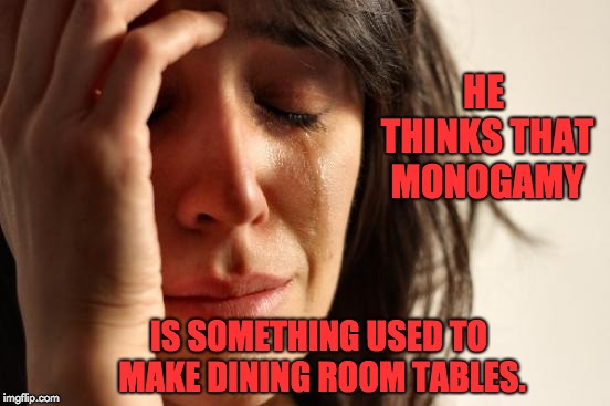 First World Problems Meme | HE THINKS THAT MONOGAMY; IS SOMETHING USED TO MAKE DINING ROOM TABLES. | image tagged in memes,first world problems | made w/ Imgflip meme maker