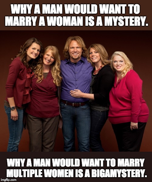 Mormon |  WHY A MAN WOULD WANT TO MARRY A WOMAN IS A MYSTERY. WHY A MAN WOULD WANT TO MARRY MULTIPLE WOMEN IS A BIGAMYSTERY. | image tagged in mormon | made w/ Imgflip meme maker