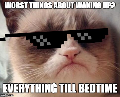 WORST THINGS ABOUT WAKING UP? EVERYTHING TILL BEDTIME | image tagged in grumpy in bed | made w/ Imgflip meme maker