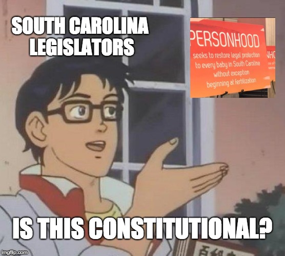 Is This A Pigeon | SOUTH CAROLINA LEGISLATORS; IS THIS CONSTITUTIONAL? | image tagged in memes,is this a pigeon | made w/ Imgflip meme maker
