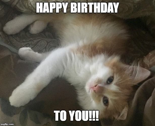 HAPPY BIRTHDAY; TO YOU!!! | image tagged in happy birthday | made w/ Imgflip meme maker