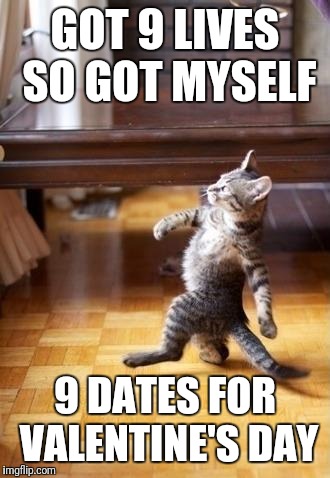 Valentine's Day Bonanza | GOT 9 LIVES SO GOT MYSELF; 9 DATES FOR VALENTINE'S DAY | image tagged in memes,cool cat stroll,valentine's day,dates,romance | made w/ Imgflip meme maker