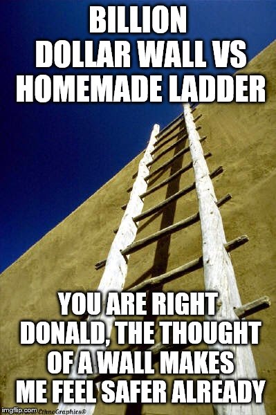 The Wall Secures Our Border | BILLION DOLLAR WALL VS HOMEMADE LADDER; YOU ARE RIGHT DONALD, THE THOUGHT OF A WALL MAKES ME FEEL SAFER ALREADY | image tagged in wall and ladder,donald trump,mexico wall,idiot | made w/ Imgflip meme maker