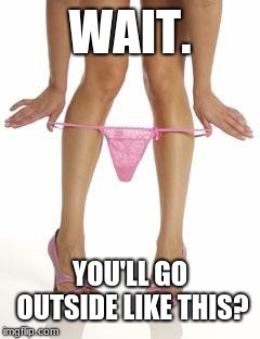 panties dropping | WAIT. YOU'LL GO OUTSIDE LIKE THIS? | image tagged in panties dropping | made w/ Imgflip meme maker