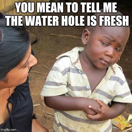 It is skeptical tho... | YOU MEAN TO TELL ME THE WATER HOLE IS FRESH | image tagged in memes,third world skeptical kid | made w/ Imgflip meme maker