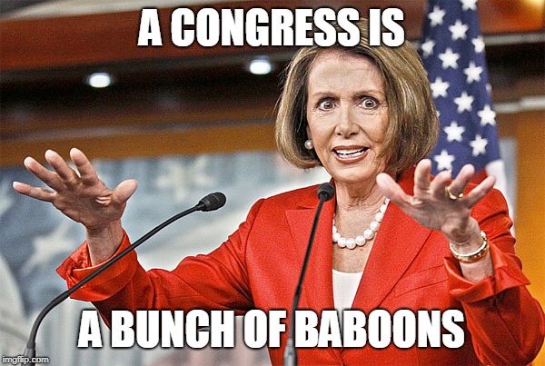 Nancy Pelosi is crazy | A CONGRESS IS A BUNCH OF BABOONS | image tagged in nancy pelosi is crazy | made w/ Imgflip meme maker