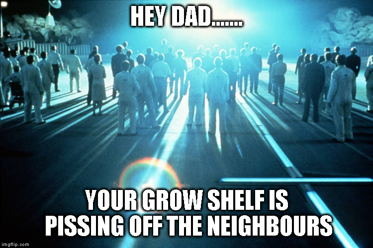 HEY DAD....... YOUR GROW SHELF IS PISSING OFF THE NEIGHBOURS | image tagged in close encounters of the third kind | made w/ Imgflip meme maker
