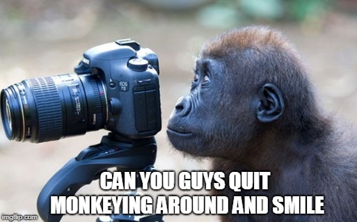 Serious Monkey | CAN YOU GUYS QUIT MONKEYING AROUND AND SMILE | image tagged in monkey business,camera,memes | made w/ Imgflip meme maker