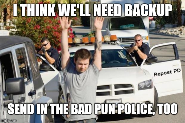 Repost Police | I THINK WE'LL NEED BACKUP SEND IN THE BAD PUN POLICE, TOO | image tagged in repost police | made w/ Imgflip meme maker