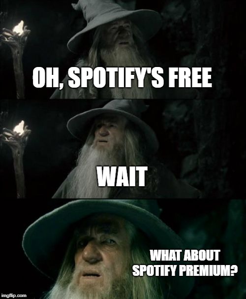 Confused Gandalf | OH, SPOTIFY'S FREE; WAIT; WHAT ABOUT SPOTIFY PREMIUM? | image tagged in memes,confused gandalf | made w/ Imgflip meme maker