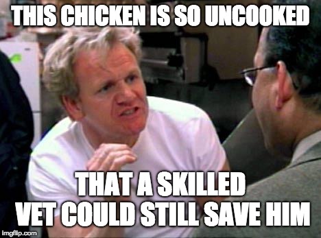 Gordon Ramsay | THIS CHICKEN IS SO UNCOOKED; THAT A SKILLED VET COULD STILL SAVE HIM | image tagged in gordon ramsay | made w/ Imgflip meme maker