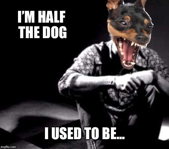 I’M HALF THE DOG I USED TO BE... | made w/ Imgflip meme maker