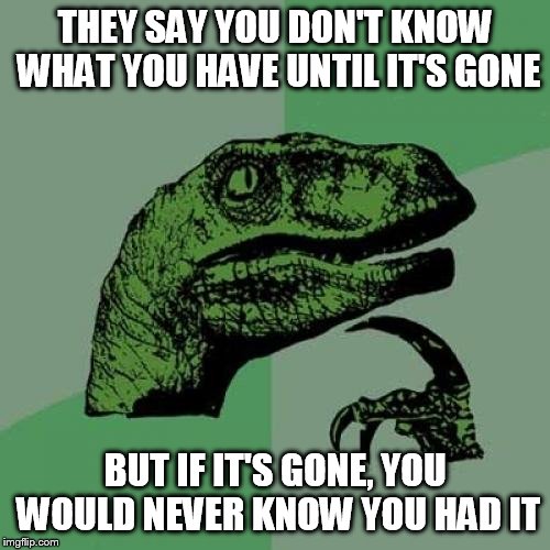 Philosoraptor | THEY SAY YOU DON'T KNOW WHAT YOU HAVE UNTIL IT'S GONE; BUT IF IT'S GONE, YOU WOULD NEVER KNOW YOU HAD IT | image tagged in memes,philosoraptor | made w/ Imgflip meme maker