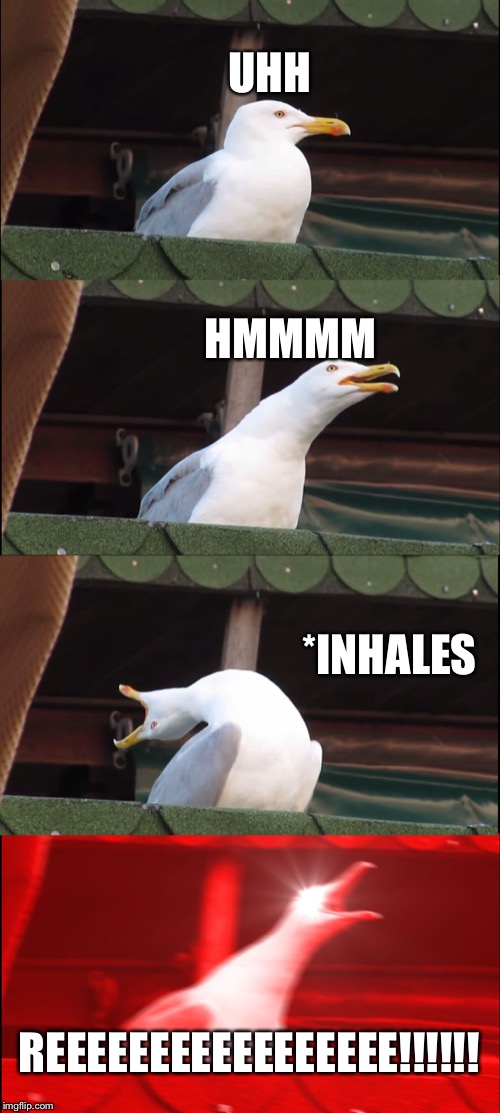 Inhaling Seagull Meme | UHH; HMMMM; *INHALES; REEEEEEEEEEEEEEEEE!!!!!! | image tagged in memes,inhaling seagull | made w/ Imgflip meme maker