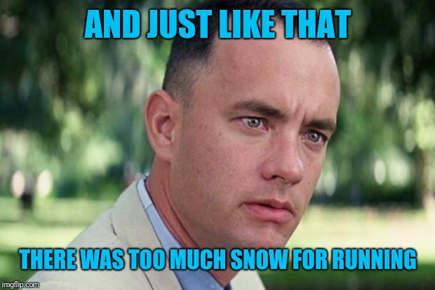 And Just Like That Meme | AND JUST LIKE THAT THERE WAS TOO MUCH SNOW FOR RUNNING | image tagged in forrest gump | made w/ Imgflip meme maker