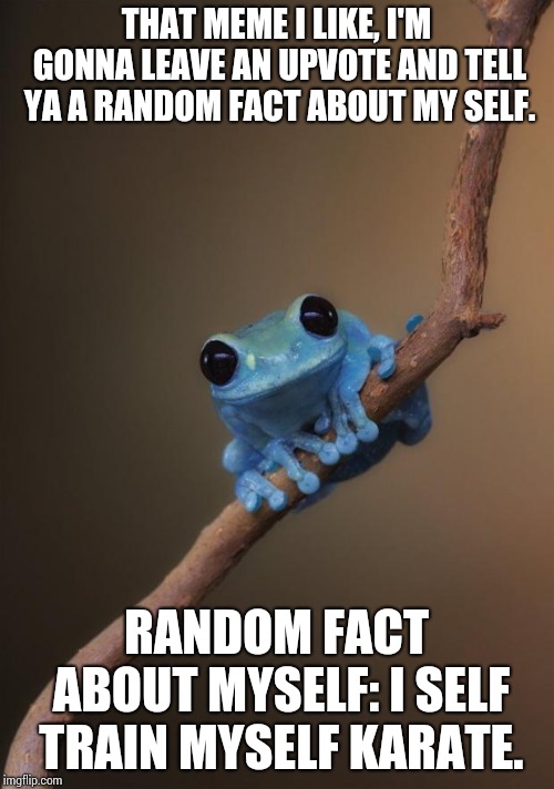 small fact frog | THAT MEME I LIKE, I'M GONNA LEAVE AN UPVOTE AND TELL YA A RANDOM FACT ABOUT MY SELF. RANDOM FACT ABOUT MYSELF: I SELF TRAIN MYSELF KARATE. | image tagged in small fact frog | made w/ Imgflip meme maker