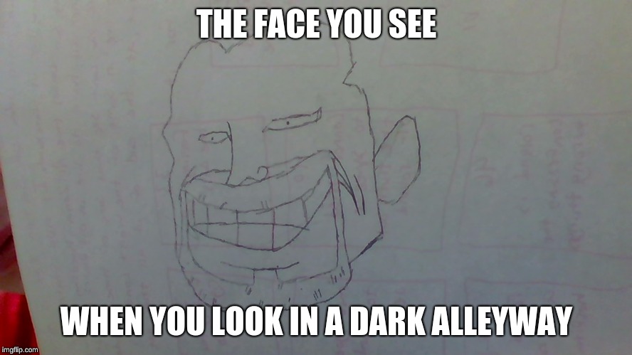 THE FACE YOU SEE; WHEN YOU LOOK IN A DARK ALLEYWAY | image tagged in derp | made w/ Imgflip meme maker
