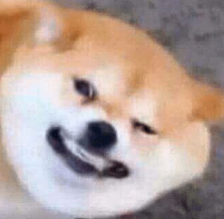 High Quality Cringe doggo Blank Meme Template