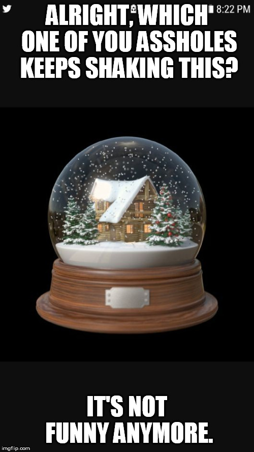 Snowglobe  | ALRIGHT, WHICH ONE OF YOU ASSHOLES KEEPS SHAKING THIS? IT'S NOT FUNNY ANYMORE. | image tagged in snowglobe | made w/ Imgflip meme maker