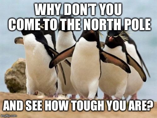 Penguin Gang Meme | WHY DON’T YOU COME TO THE NORTH POLE AND SEE HOW TOUGH YOU ARE? | image tagged in memes,penguin gang | made w/ Imgflip meme maker