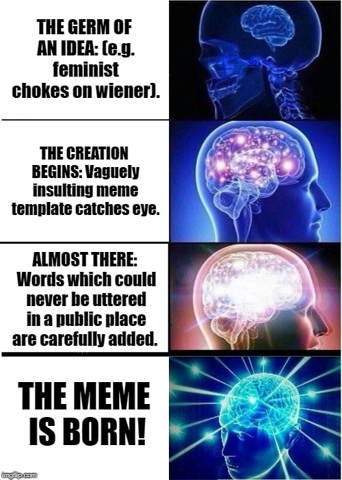 The Four Stages of Meme Craft | THE GERM OF AN IDEA: (e.g. feminist chokes on wiener). THE CREATION BEGINS: Vaguely insulting meme template catches eye. ALMOST THERE: Words which could never be uttered in a public place are carefully added. THE MEME IS BORN! | image tagged in memes,expanding brain | made w/ Imgflip meme maker
