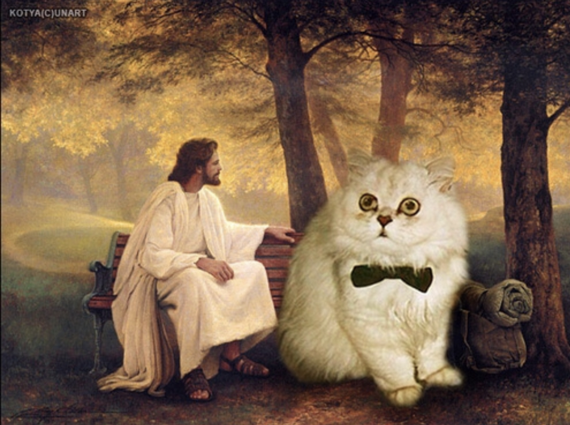 High Quality Jesus cat Blank Meme Template