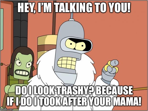 Bender | HEY, I’M TALKING TO YOU! DO I LOOK TRASHY?
BECAUSE IF I DO I TOOK AFTER YOUR MAMA! | image tagged in memes,bender | made w/ Imgflip meme maker
