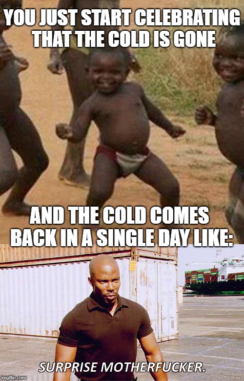 Winter is not going anywhere :/ :( | YOU JUST START CELEBRATING THAT THE COLD IS GONE; AND THE COLD COMES BACK IN A SINGLE DAY LIKE: | image tagged in memes,third world success kid,success kid,cold,winter,funny | made w/ Imgflip meme maker