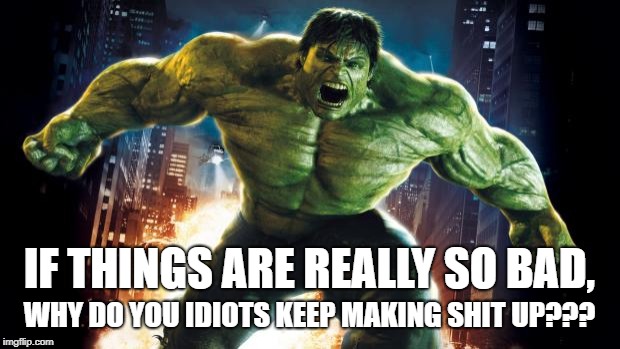 hate-fakers | IF THINGS ARE REALLY SO BAD, WHY DO YOU IDIOTS KEEP MAKING SHIT UP??? | image tagged in incredible hulk,hate,fake,climate change,racism,trump | made w/ Imgflip meme maker