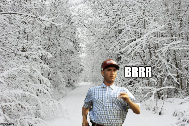 Snowy forest | BRRR | image tagged in snowy forest | made w/ Imgflip meme maker
