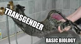 TRANSGENDER BASIC BIOLOGY | made w/ Imgflip meme maker