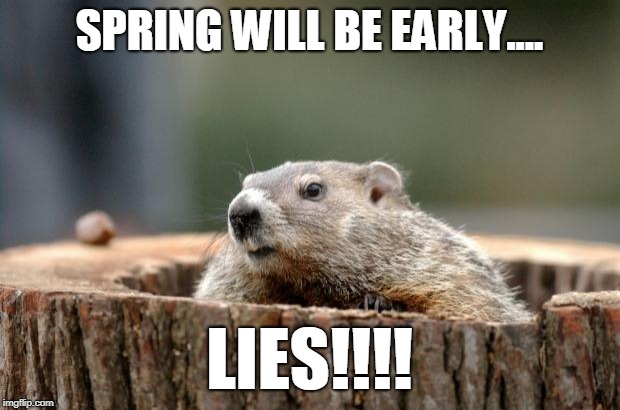Groundhog | SPRING WILL BE EARLY.... LIES!!!! | image tagged in groundhog | made w/ Imgflip meme maker