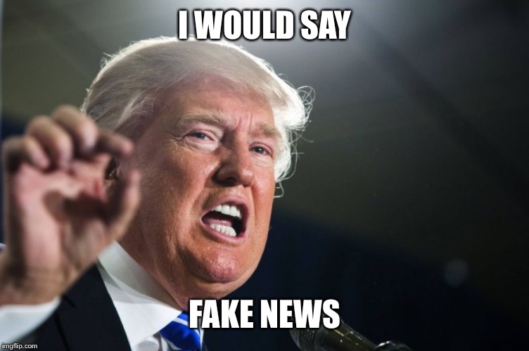 donald trump | I WOULD SAY FAKE NEWS | image tagged in donald trump | made w/ Imgflip meme maker