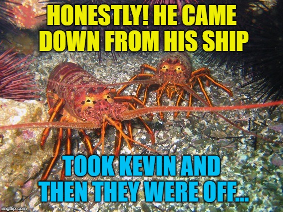 HONESTLY! HE CAME DOWN FROM HIS SHIP TOOK KEVIN AND THEN THEY WERE OFF... | made w/ Imgflip meme maker