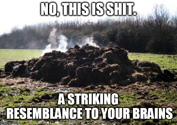 Steaming pile of shit | NO, THIS IS SHIT. A STRIKING RESEMBLANCE TO YOUR BRAINS | image tagged in steaming pile of shit | made w/ Imgflip meme maker