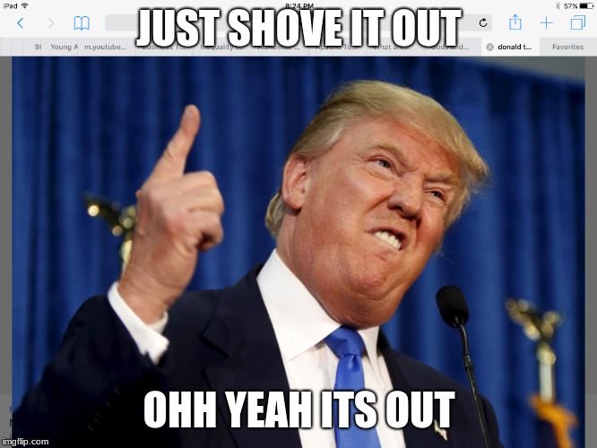 Trump taking a dump | JUST SHOVE IT OUT; OHH YEAH ITS OUT | image tagged in mememaster | made w/ Imgflip meme maker