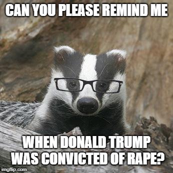 Nerdy Badger Square | CAN YOU PLEASE REMIND ME WHEN DONALD TRUMP WAS CONVICTED OF **PE? | image tagged in nerdy badger square | made w/ Imgflip meme maker