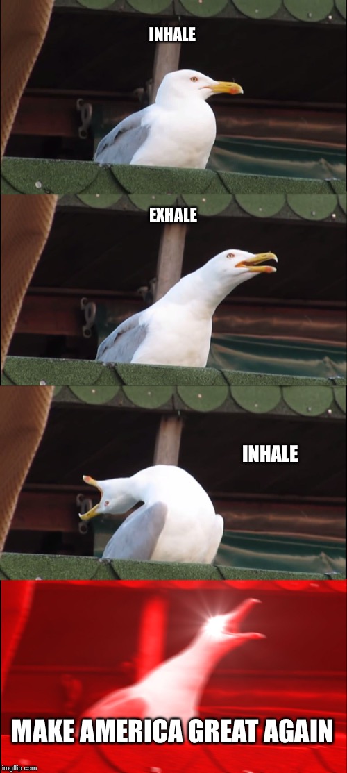 Inhaling Seagull Meme | INHALE; EXHALE; INHALE; MAKE AMERICA GREAT AGAIN | image tagged in memes,inhaling seagull | made w/ Imgflip meme maker