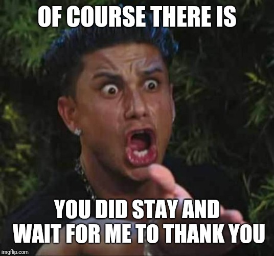 Jersey shore  | OF COURSE THERE IS YOU DID STAY AND WAIT FOR ME TO THANK YOU | image tagged in jersey shore | made w/ Imgflip meme maker
