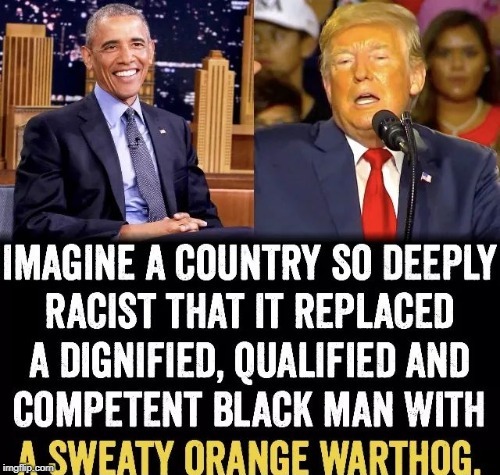 This is amazing lol | image tagged in donald trump,racist,funny,politics | made w/ Imgflip meme maker