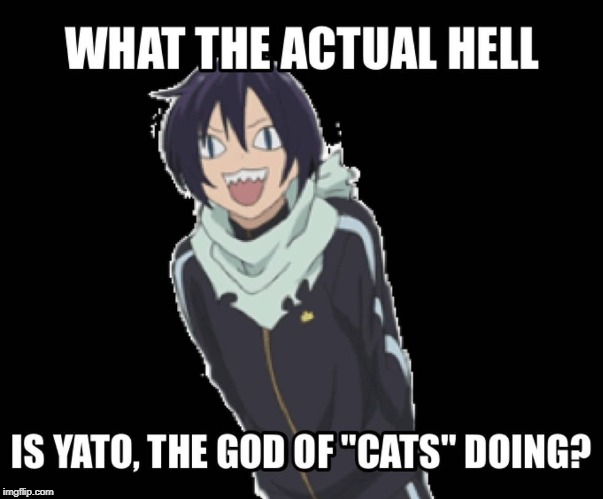 Uwu its ya boi Yato | image tagged in noragami,anime | made w/ Imgflip meme maker