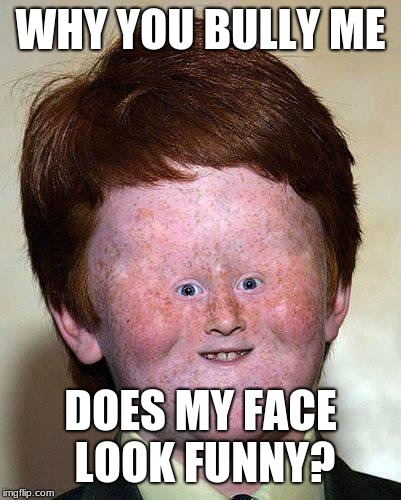 Why Bully Me | WHY YOU BULLY ME; DOES MY FACE LOOK FUNNY? | image tagged in funny memes | made w/ Imgflip meme maker
