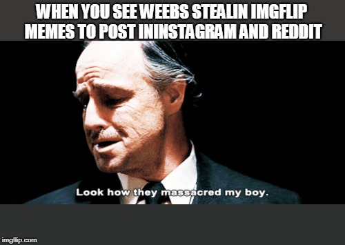 oh not my boy | WHEN YOU SEE WEEBS STEALIN IMGFLIP MEMES TO POST ININSTAGRAM AND REDDIT | image tagged in look how they massacred my boy | made w/ Imgflip meme maker