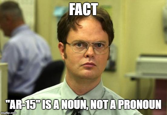 Dwight Schrute Meme | FACT "AR-15" IS A NOUN, NOT A PRONOUN | image tagged in memes,dwight schrute | made w/ Imgflip meme maker