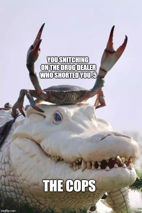 Snitcher | YOU SNITCHING ON THE DRUG DEALER WHO SHORTED YOU .5; THE COPS | image tagged in memes,crab,snitch,drugs | made w/ Imgflip meme maker
