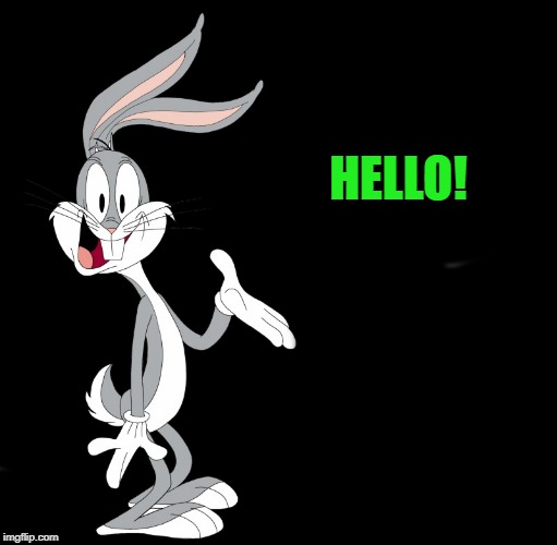 joke bunny | HELLO! | image tagged in joke bunny | made w/ Imgflip meme maker