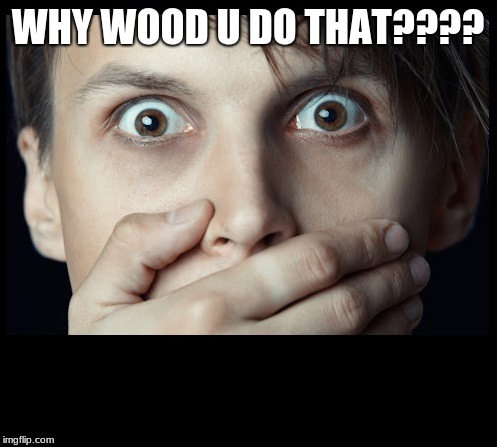 oh my | WHY WOOD U DO THAT???? | image tagged in oh my | made w/ Imgflip meme maker