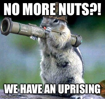 Bazooka Squirrel | NO MORE NUTS?! WE HAVE AN UPRISING | image tagged in memes,bazooka squirrel | made w/ Imgflip meme maker