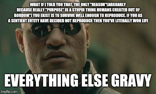 Matrix Morpheus Meme | WHAT IF I TOLD YOU THAT, THE ONLY "REASON"(ARGUABLY BECAUSE REALLY "PURPOSE" IS A STUPID THING HUMANS CREATED OUT OF BORDUM") YOU EXIST IS TO SURVIVE WELL ENOUGH TO REPRODUCE. IF YOU AS A SENTIENT ENTITY HAVE DECIDED NOT REPRODUCE THEN YOU'VE LITERALLY WON LIFE; EVERYTHING ELSE GRAVY | image tagged in memes,matrix morpheus | made w/ Imgflip meme maker