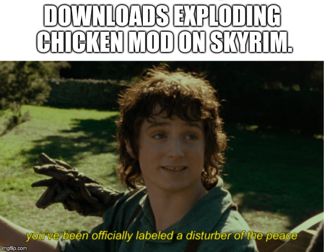 Frodo Disturber of the Peace |  DOWNLOADS EXPLODING CHICKEN MOD ON SKYRIM. | image tagged in frodo disturber of the peace | made w/ Imgflip meme maker